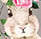 Bunnies